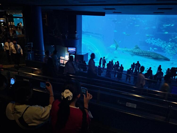 IMG20251030103150.jpg