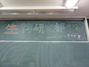 IMG_3884_R.JPG