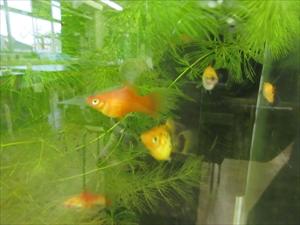 IMG_3889_R.JPG