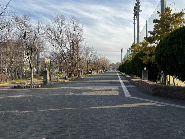 8m道路.JPG