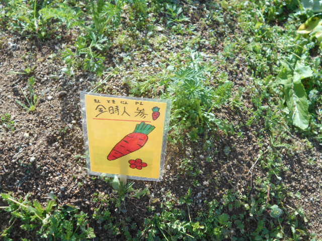 DSCN3885.JPG