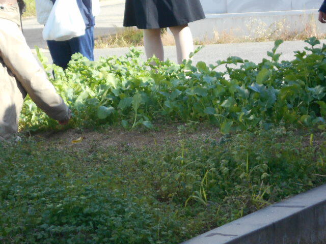 自立支援説明会 (9).JPG