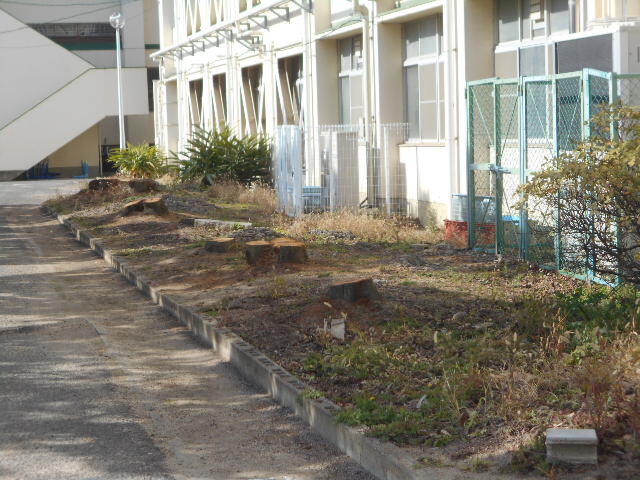 DSCN4161.JPG