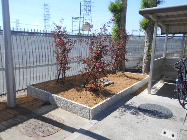 DSCN4874.JPG