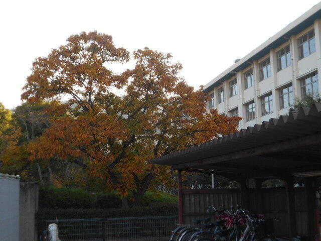 DSCN8228.JPG