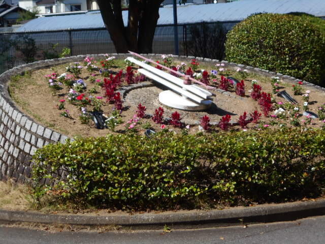 DSCN4883.JPG