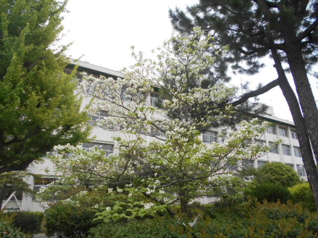 DSCN4741.JPG