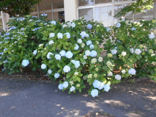 DSCN4878.JPG