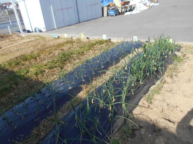 DSCN4157.JPG