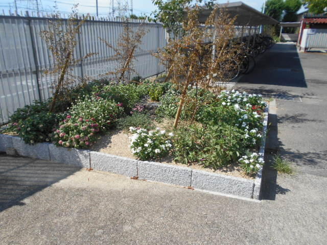 DSCN5507.JPG