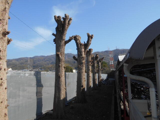 DSCN4154.JPG