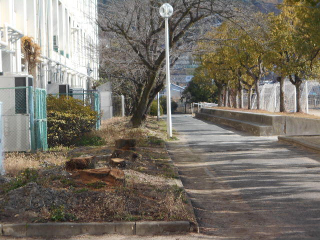 DSCN4159.JPG