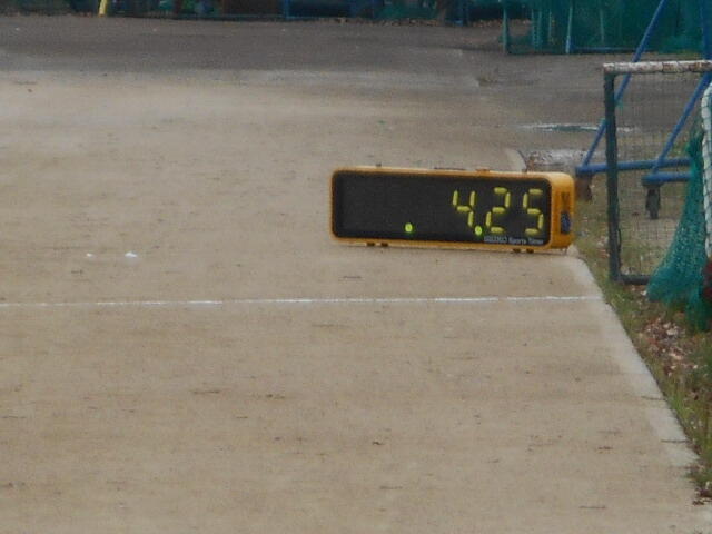 DSCN4729.JPG