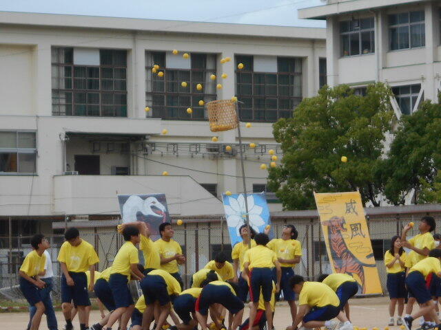 DSCN4970.JPG