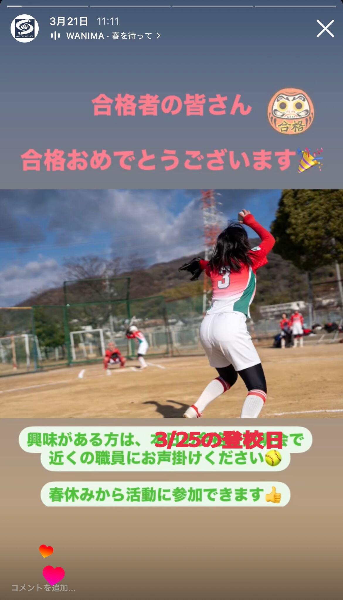 IMG_2249.jpeg