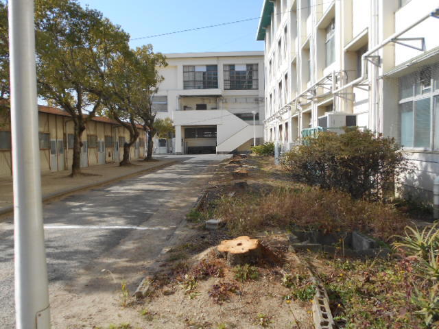 DSCN4162.JPG