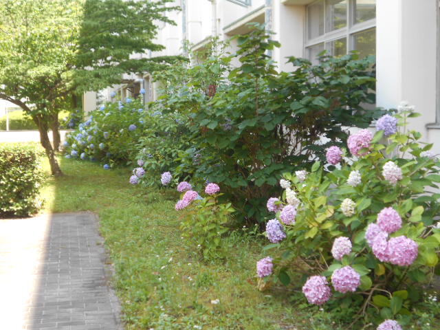 DSCN2073.JPG