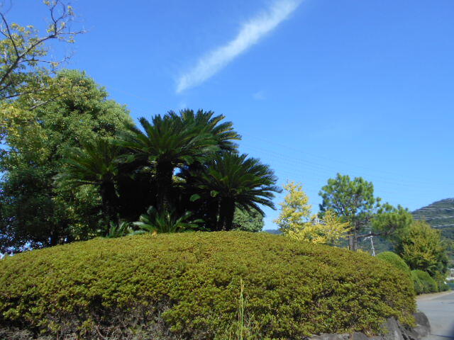 DSCN7856.JPG