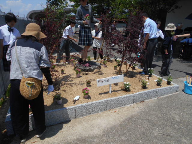 DSCN5061.JPG