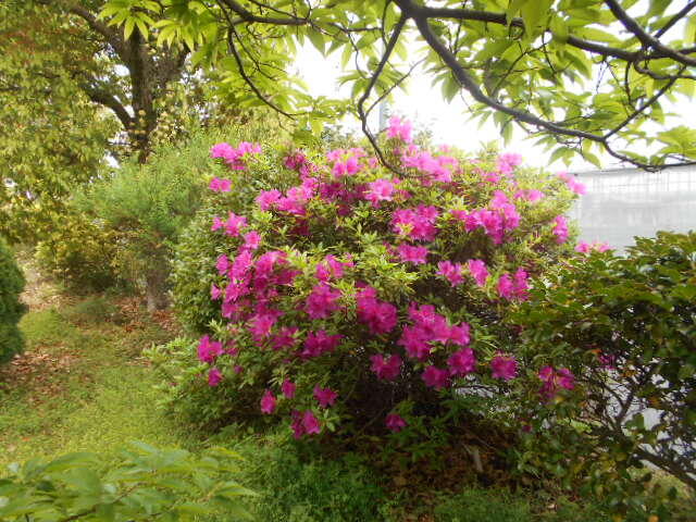 DSCN4739.JPG