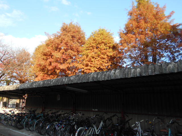 DSCN8226.JPG