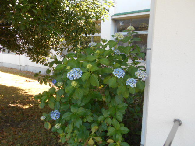 DSCN4882.JPG