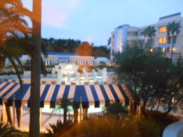 DSCN3236.JPG