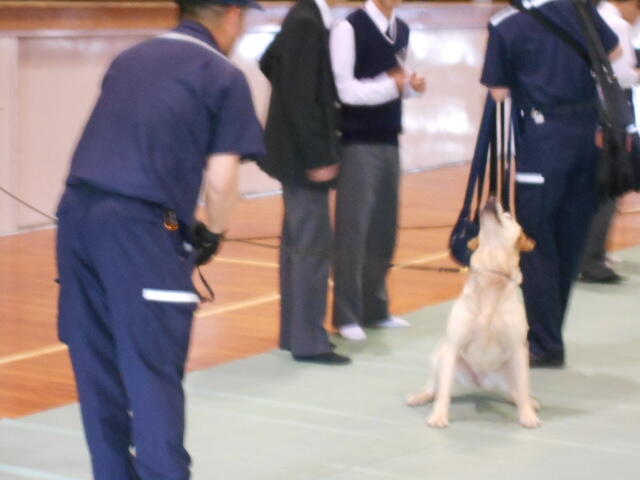 DSCN4791.JPG