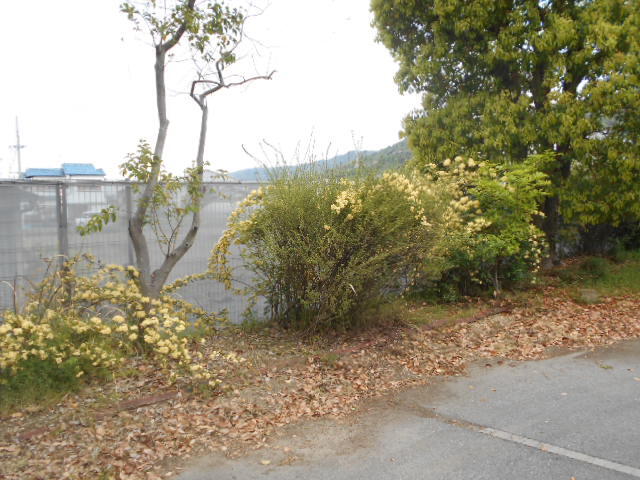 DSCN4738.JPG