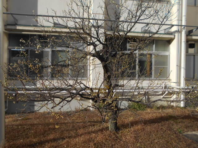 DSCN1200.JPG