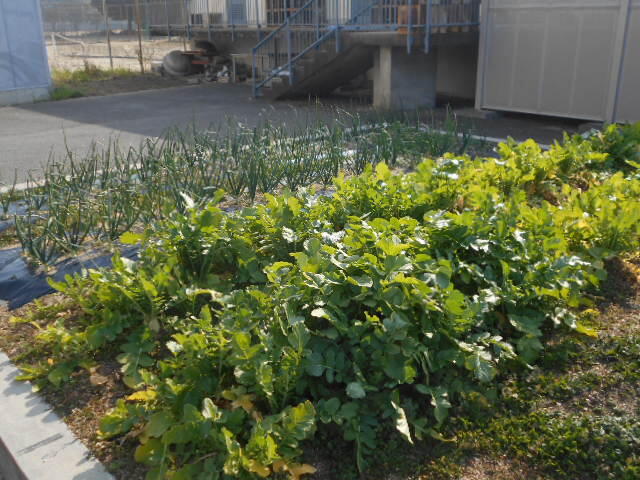 DSCN0978.JPG