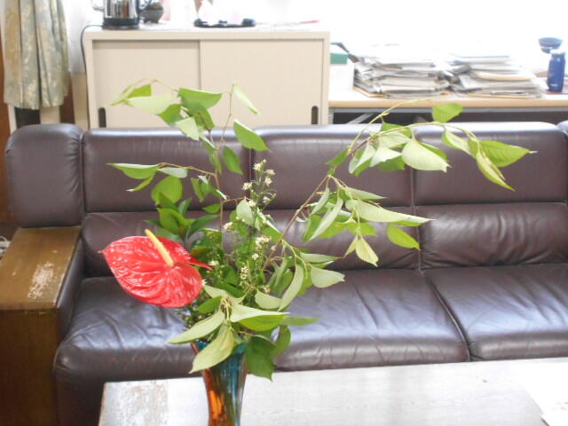 DSCN4705.JPG