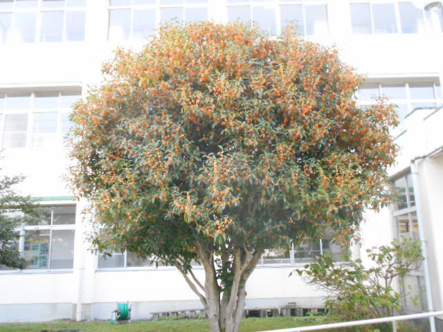 DSCN3784.JPG