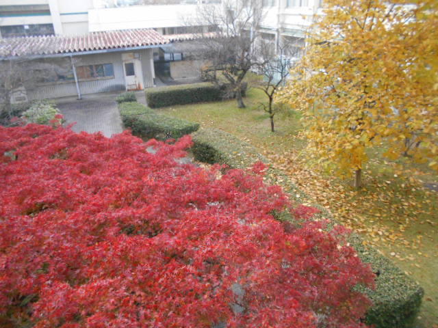 DSCN8232.JPG
