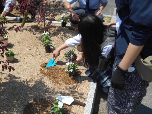 DSCN5073.JPG
