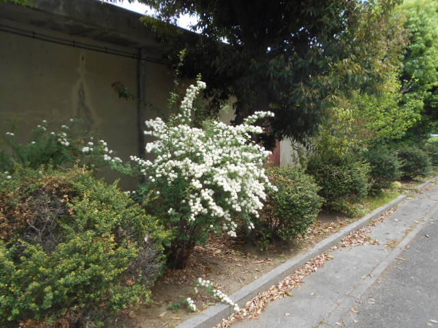 DSCN4742.JPG