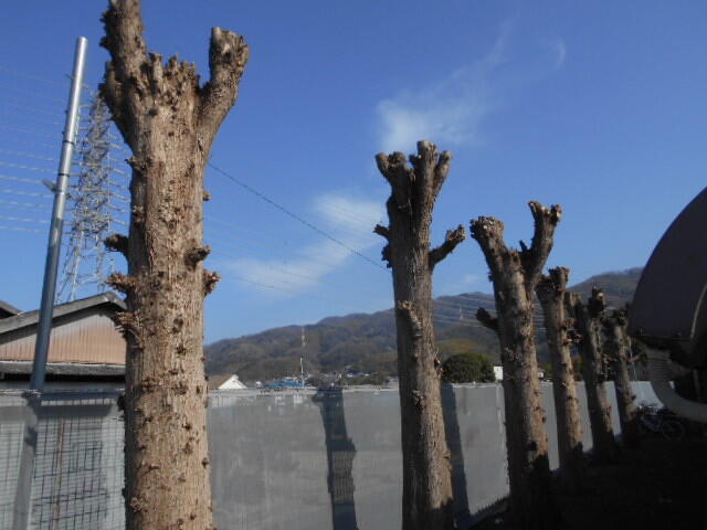DSCN4153.JPG