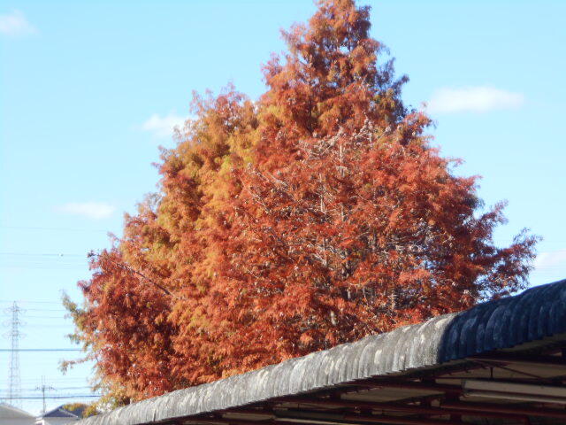 DSCN3891.JPG