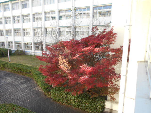 DSCN3892.JPG