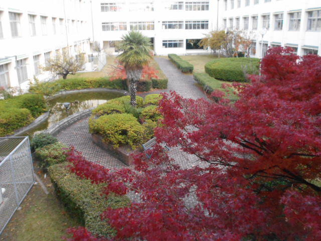 DSCN8234.JPG
