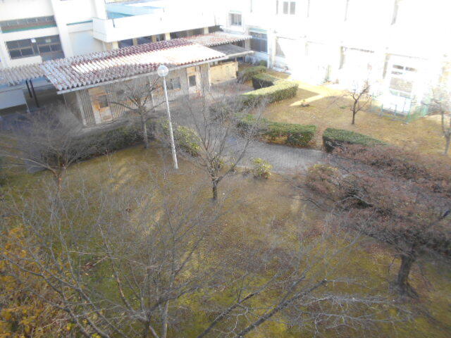 DSCN4131.JPG