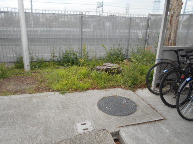 DSCN4711.JPG