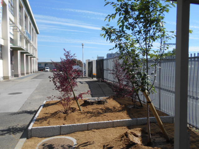 DSCN4873.JPG