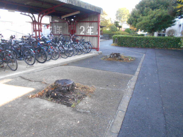 DSCN3872.JPG