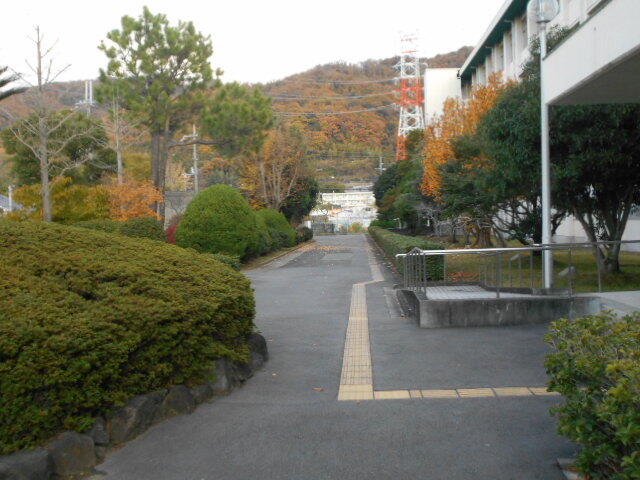 DSCN8244.JPG