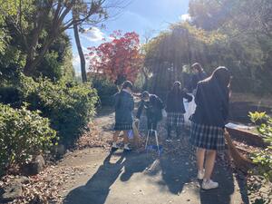 IMG_3581.jpeg