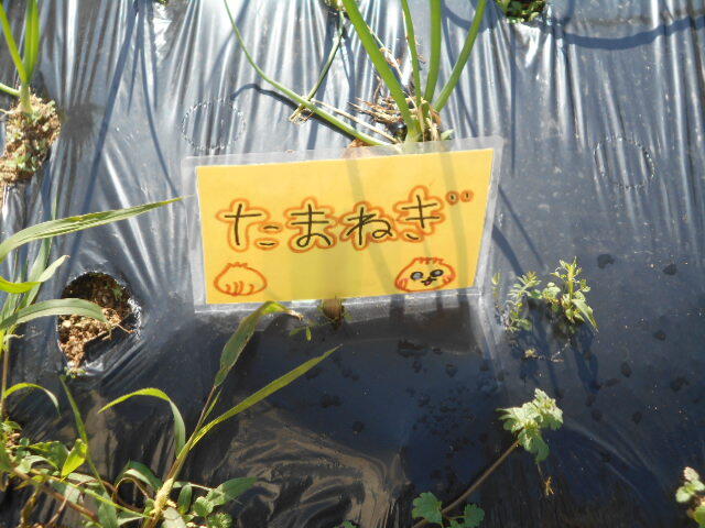 DSCN3887.JPG