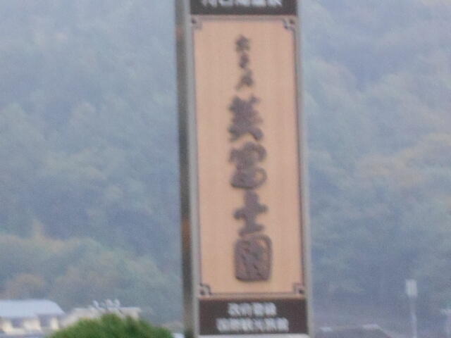 DSCN3031.JPG