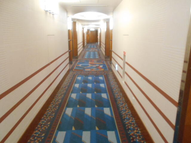 DSCN3237.JPG