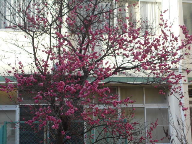 DSCN1195.JPG